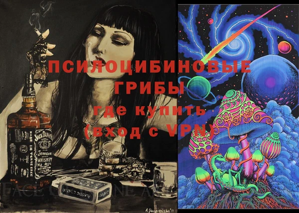 прущие грибы Новокубанск