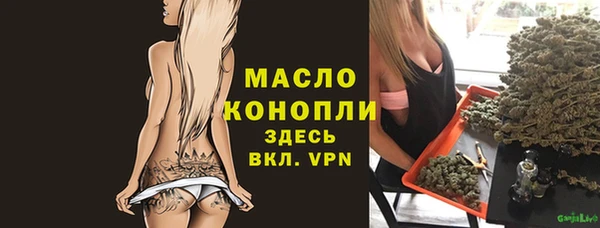гидра Новодвинск