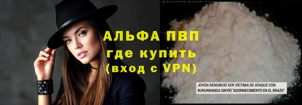 мет Алексин