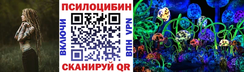 Галлюциногенные грибы Psilocybine cubensis  хочу наркоту  blacksprut как войти  Малгобек 